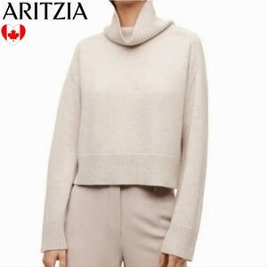 🇨🇦 Aritzia Babaton Titus Sweater